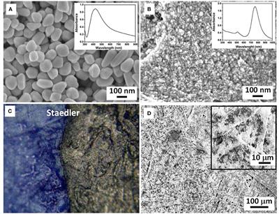 Raman Spectroscopy and Surface Enhanced Raman Scattering (SERS) for the Analysis of Blue and Black Writing Inks: Identification of Dye Content and <mark class="highlighted">Degradation Processes</mark>